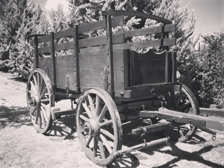 Imagen en blanco y negro de una carreta en un camino, en el lateral hay árboles